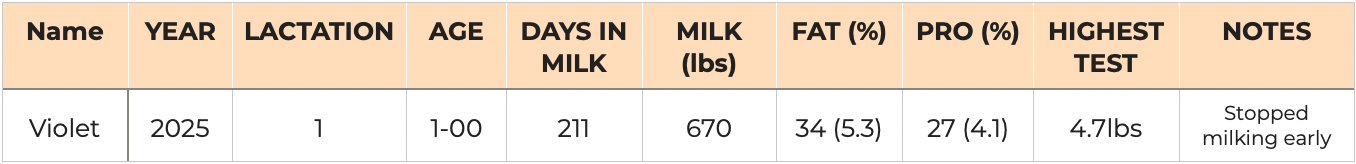 Violet-2025 milk