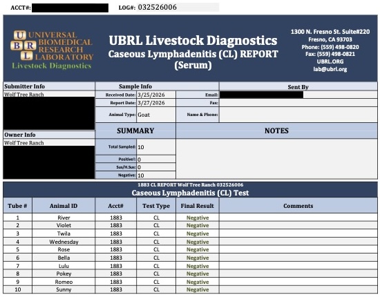 1883 CL REPORT Wolf Tree Ranch 032526006